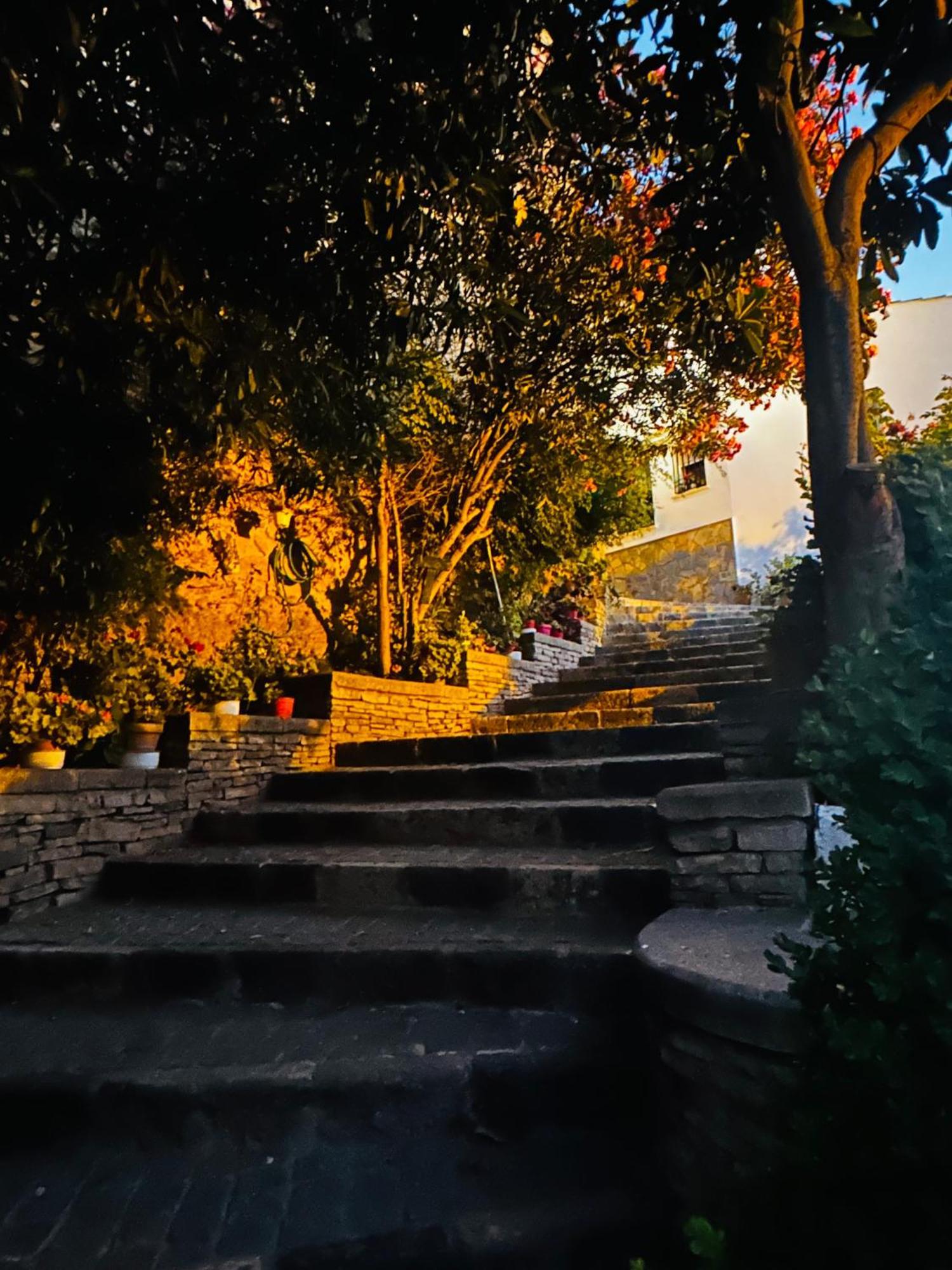 Apartamento El Patio. Setenil De Las Bodegas Стая снимка